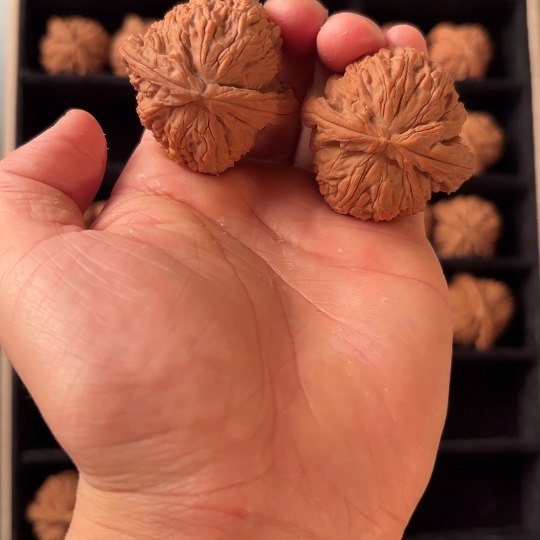 手串/手链核桃555