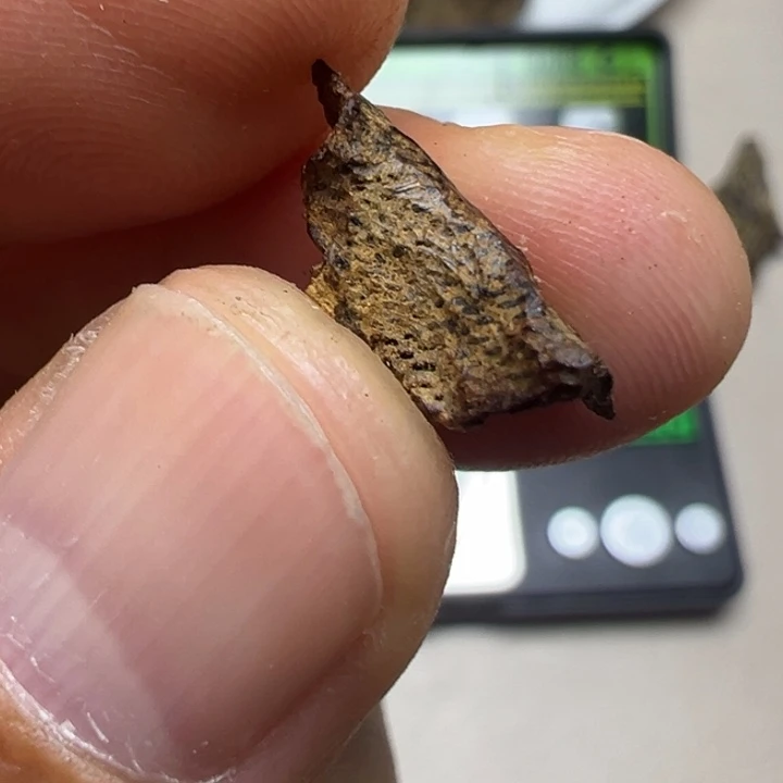 坚***底沉香碎屑沉香海南尖峰岭沉水包头0.2g
