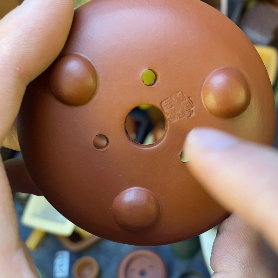 泥塑5+2.5vvvvvvvvvvvvvv