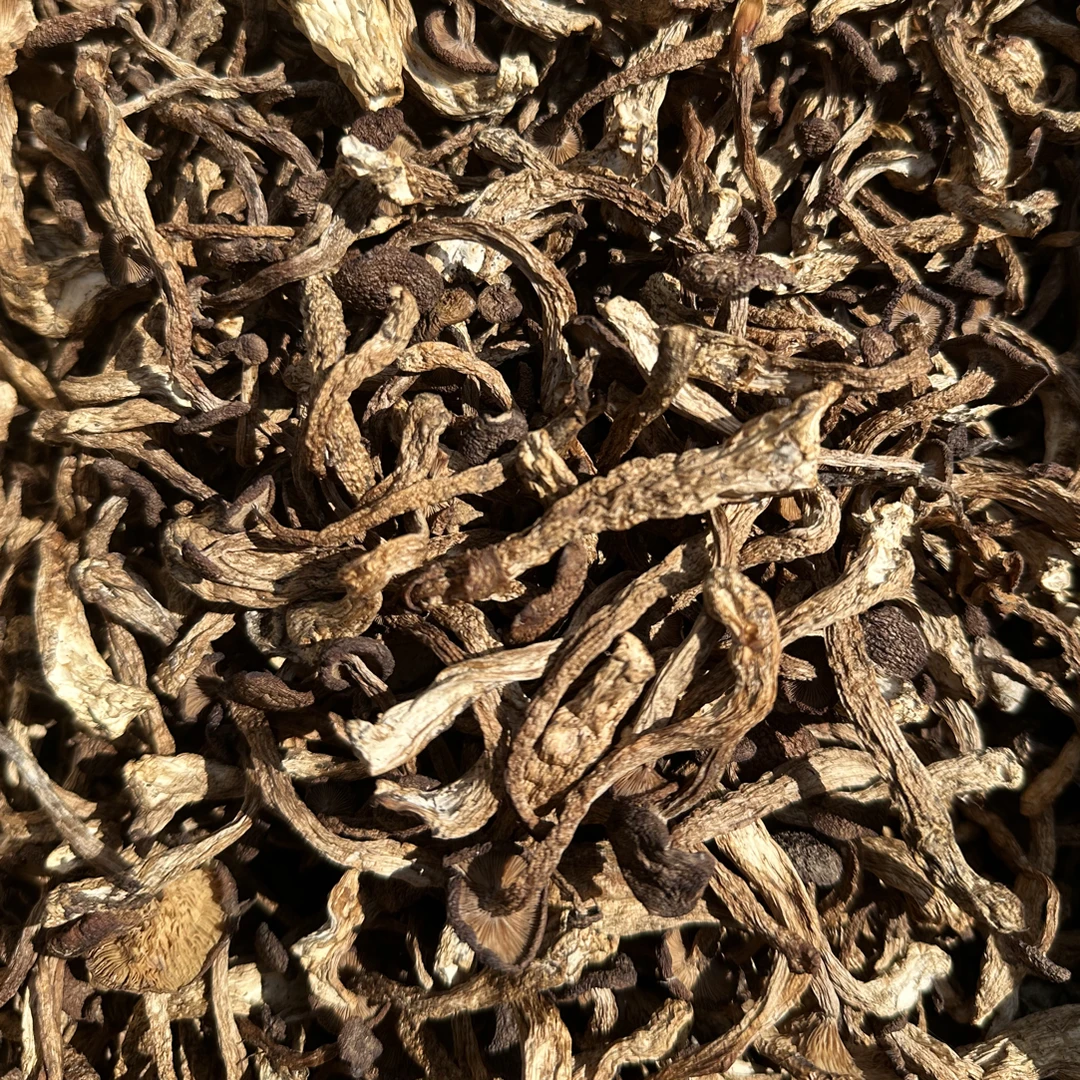 精选东北野生霸蘑干货菌中珍品煲汤菇类干货菌菇食材
