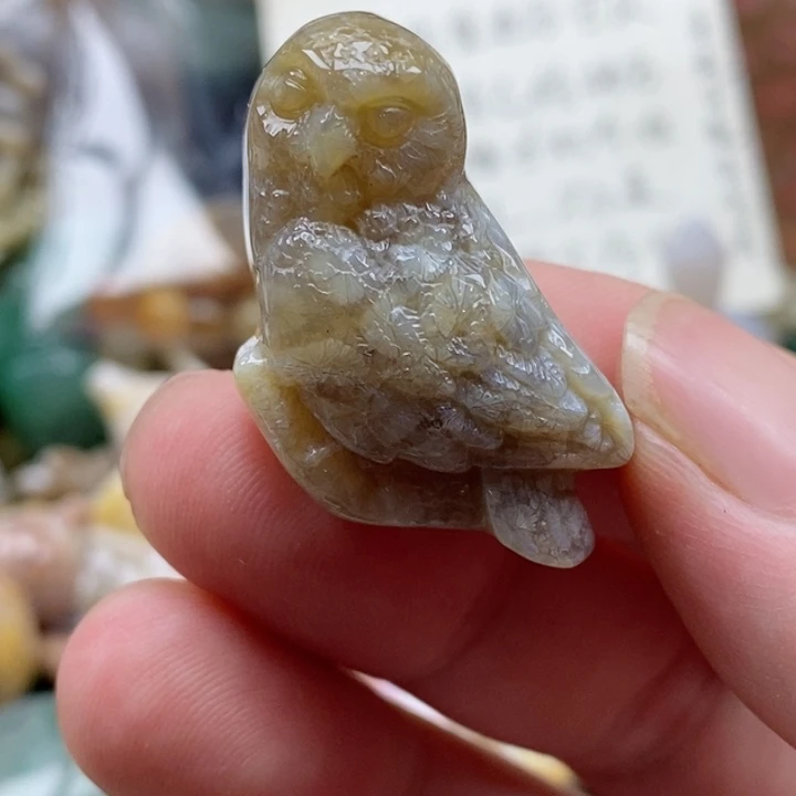 硅化珊瑚（珊瑚玉）未镶嵌颈饰小吊坠