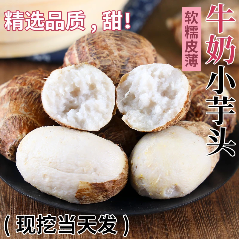 云南牛奶芋头小香芋新鲜水果蔬菜毛芋头现挖农家自种奶油芋艿软糯