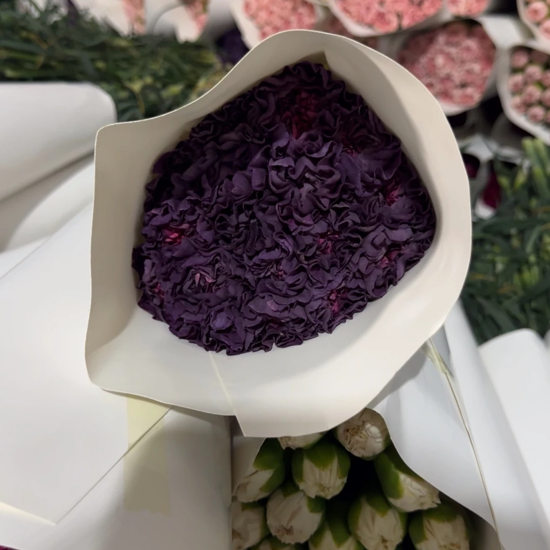 野马2扎包邮秒杀价