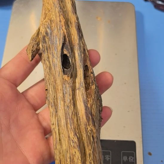 沉香沉香碎屑乌身圆叶高油天然虫漏香59克