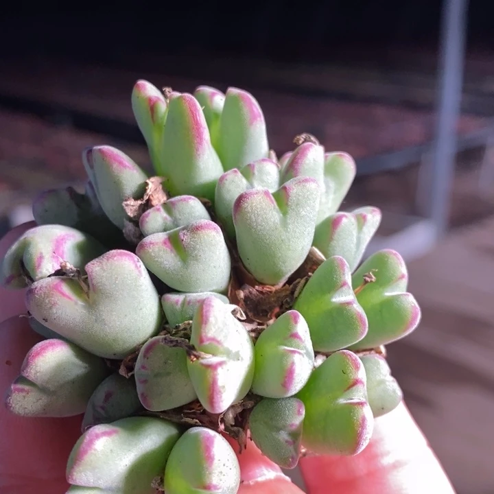 18213一个一个一个