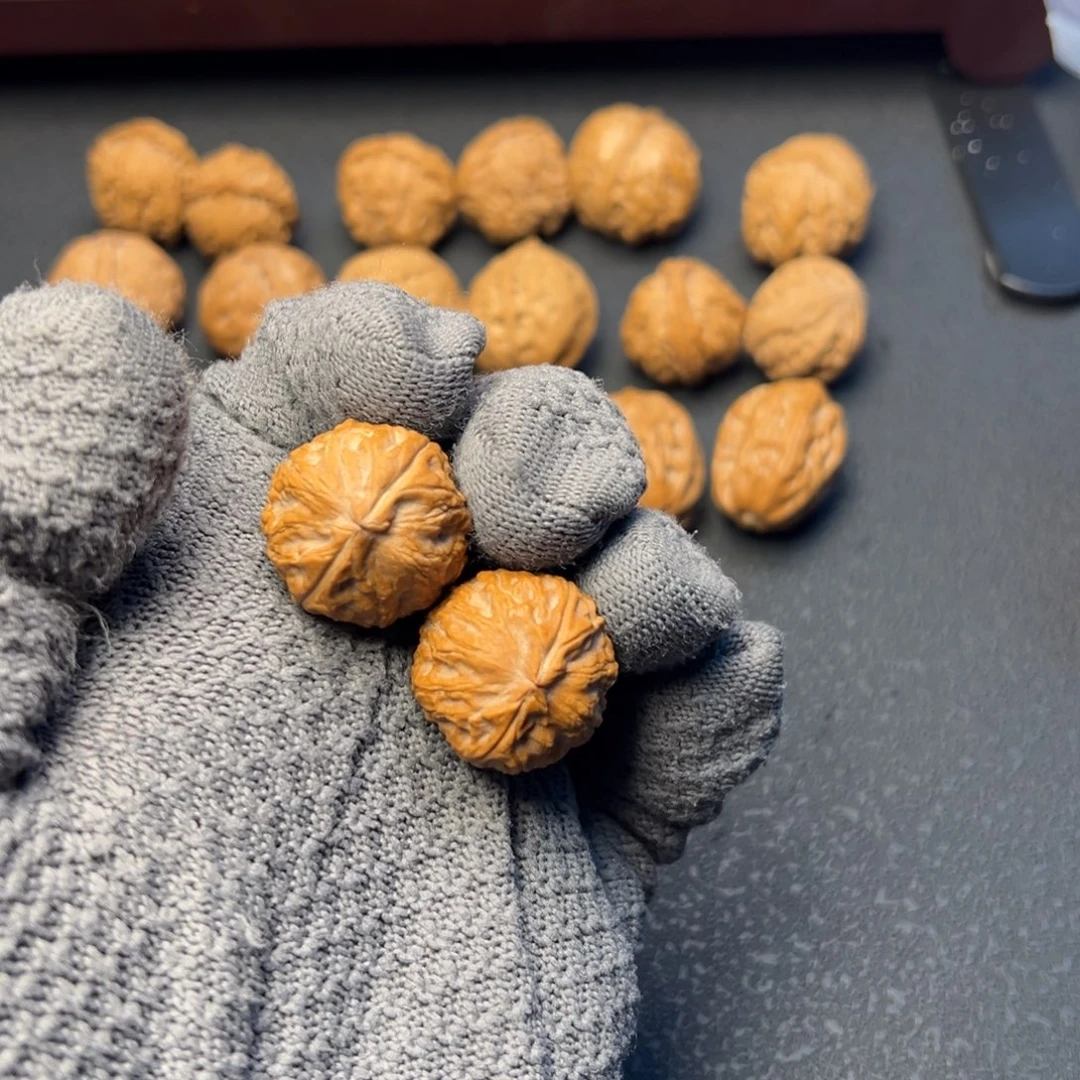 文玩核桃把件小金豆