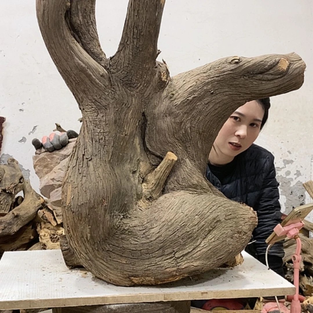 【闪购商品】柏木轩**龙我们都是好孩子