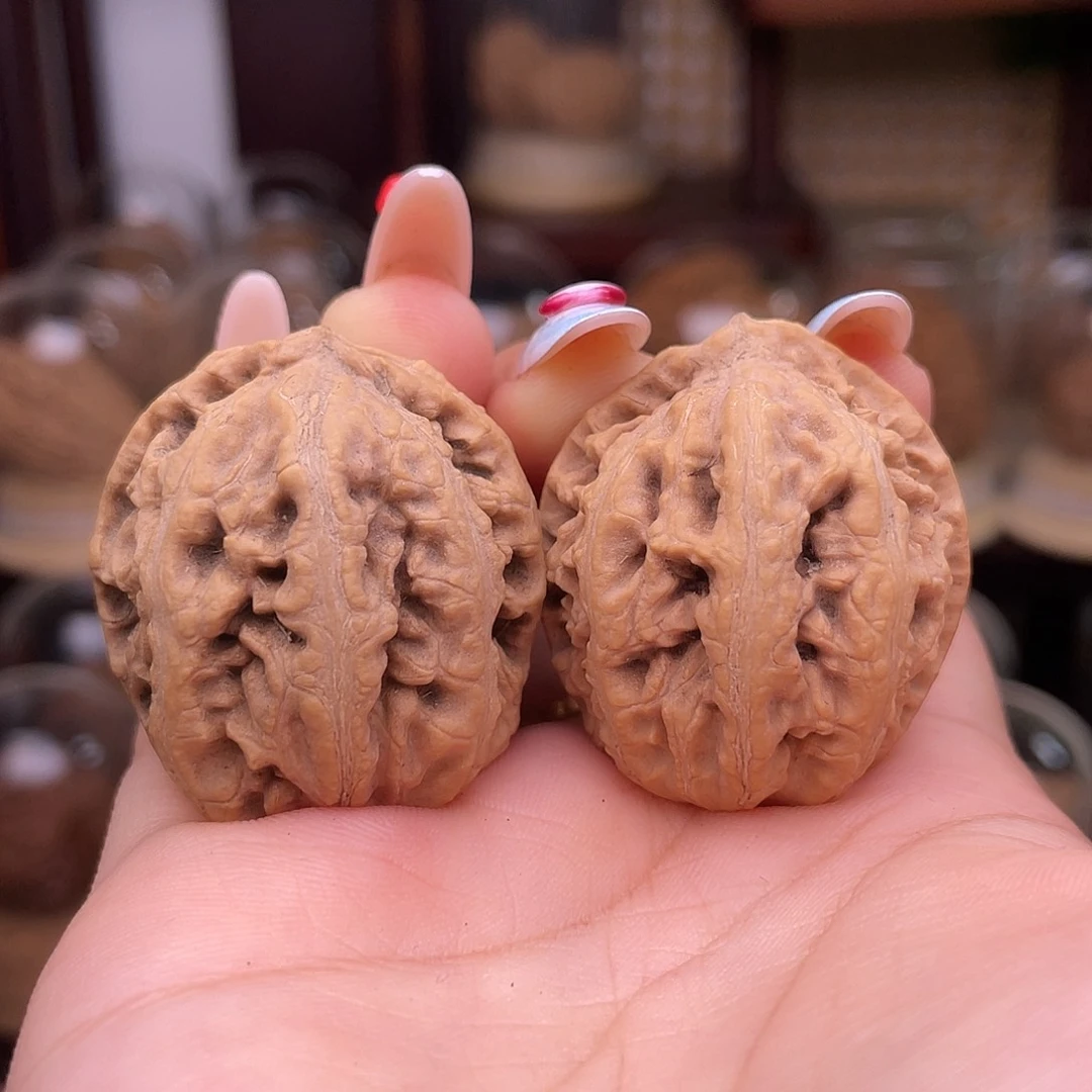 文玩核桃吊坠蚂蚁龙珠