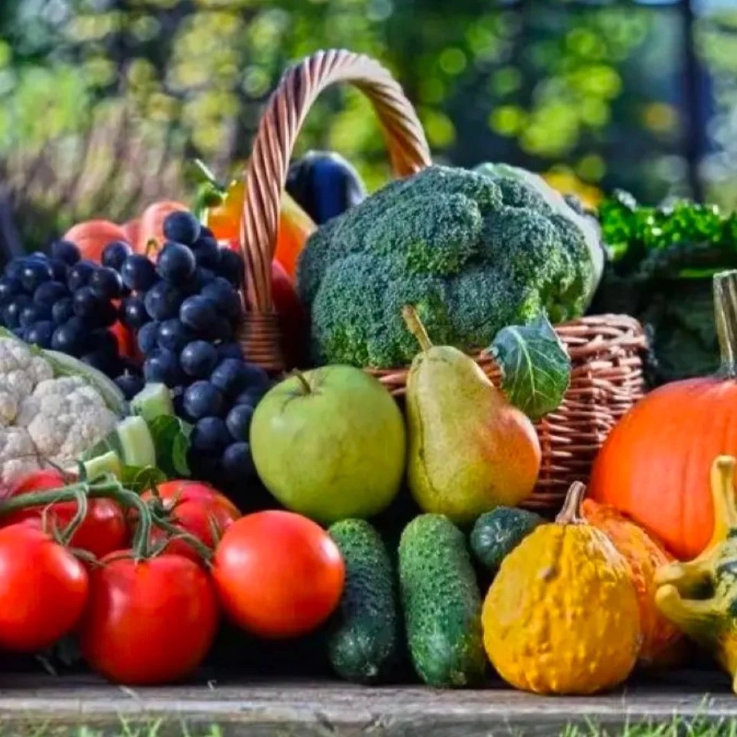 珍品稀货～临时链接非香菇