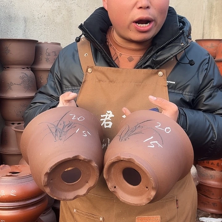 紫砂紫砂花盆盆栽