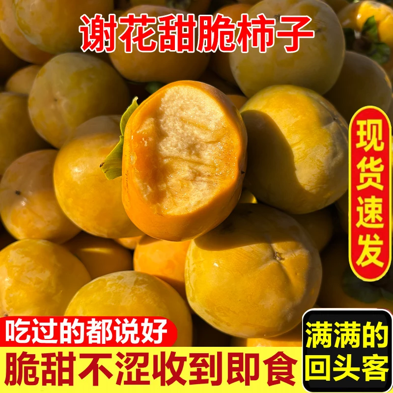 精选谢花甜脆柿子新鲜现摘应季水果农家柿子整箱甜脆柿子