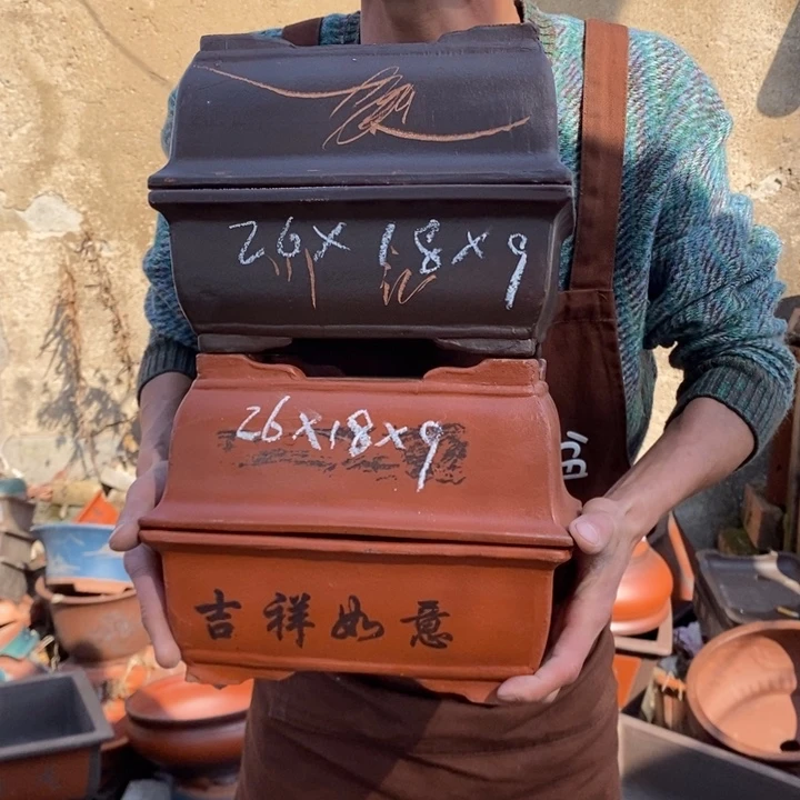 红陶你们都是我的