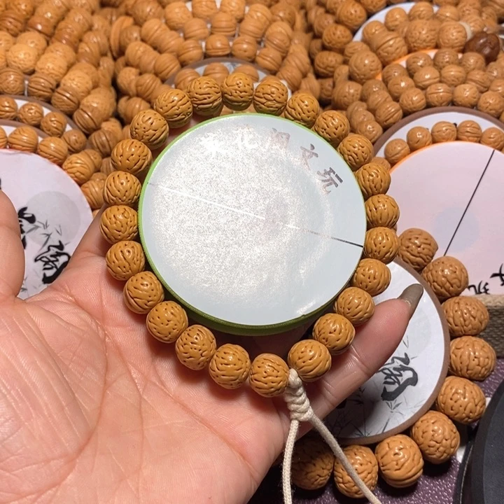 常*生1号链接，小肠纹，