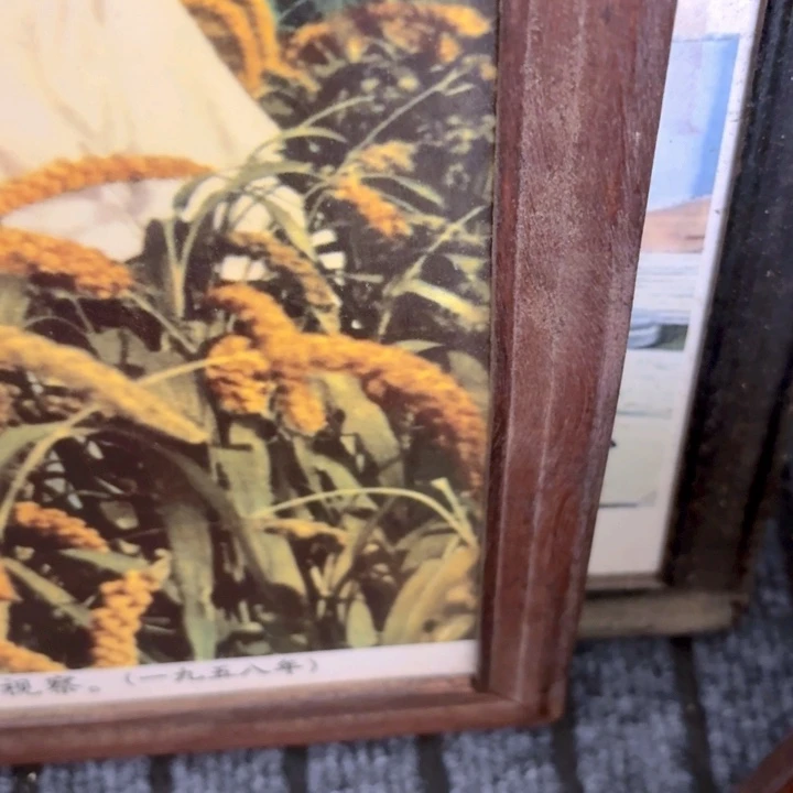 直播链接喜欢直接拍