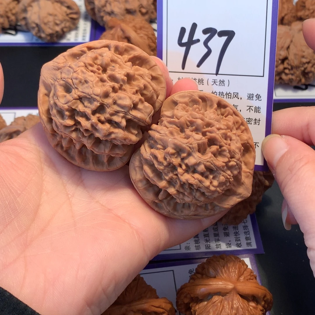 北***鲲核桃437官帽5.2全品