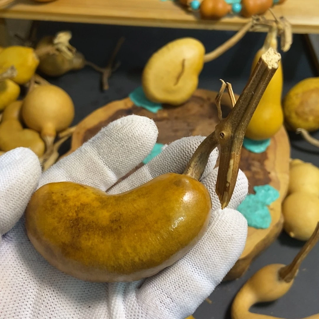 普*r葫芦葫芦真的