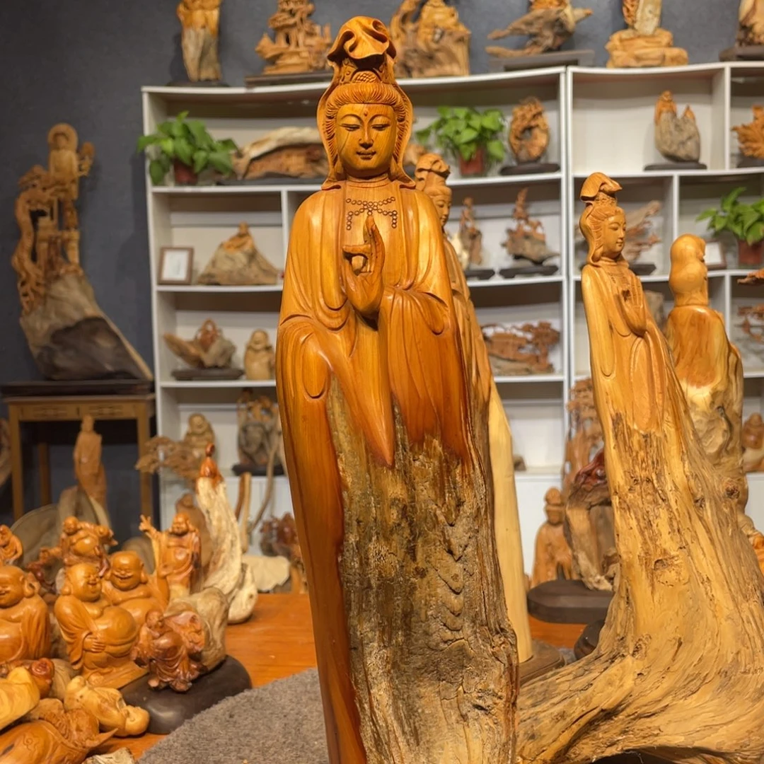 不***羽柏木（崖柏）6656564646565