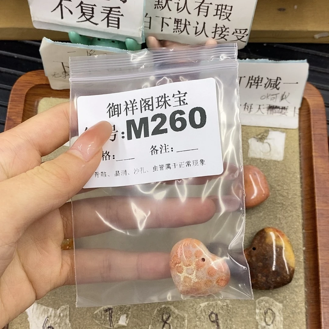 硅化珊瑚（珊瑚玉）未镶嵌颈饰蒋*