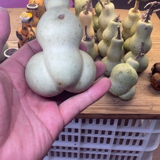自***K葫芦葫芦笙等多种形式进行宣传活动