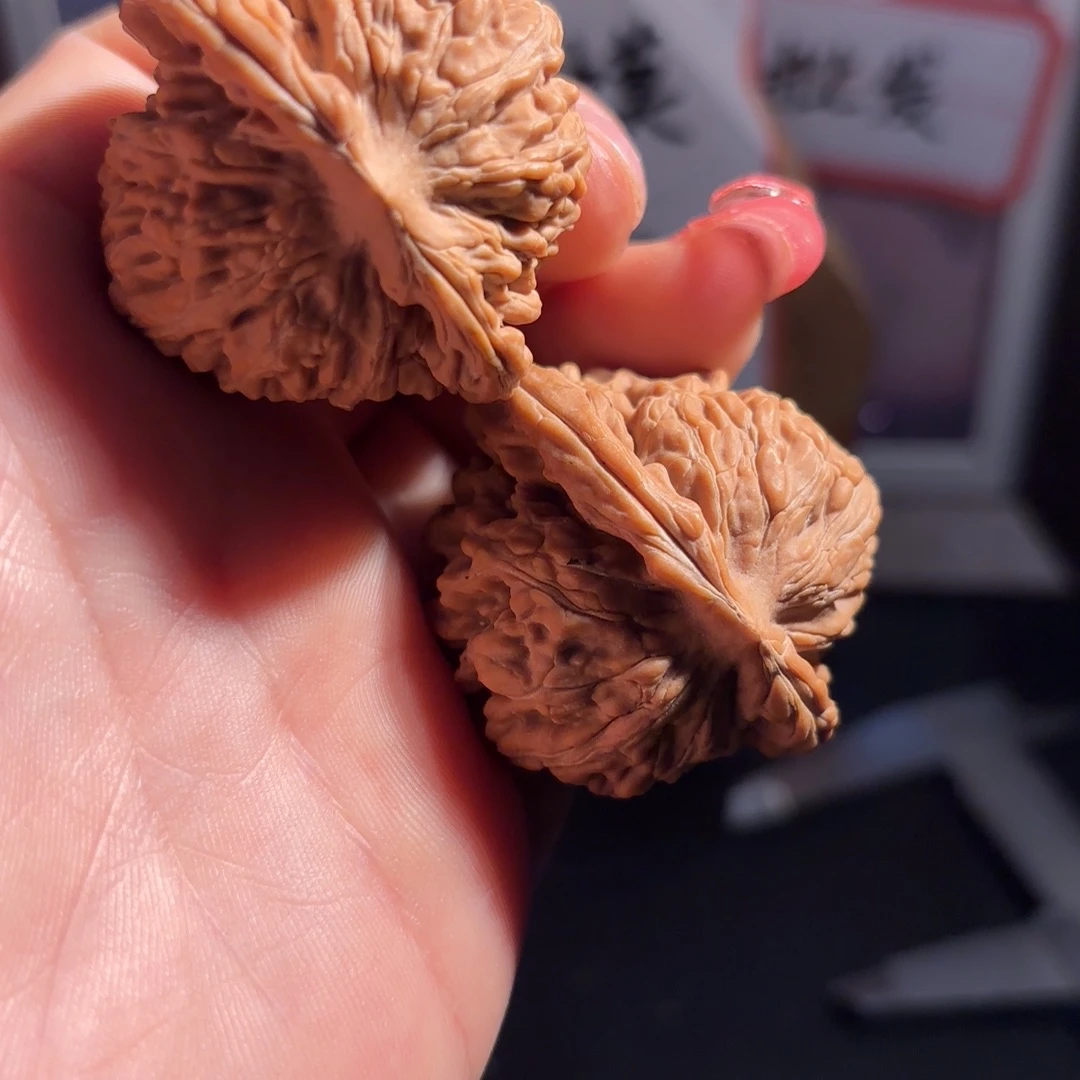 S***L桃木四座楼全品40边精对