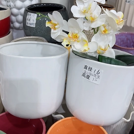 多肉绿植陶瓷花盆9.9包邮，有孔