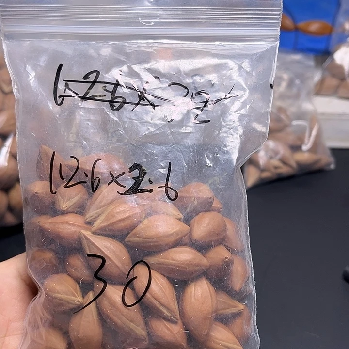 手串/手链橄榄核1111