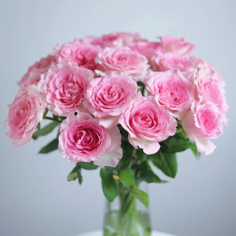 【洛神玫瑰10支】云南基地直发鲜花室内观赏美观鲜切花花艺插花