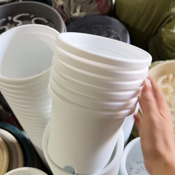 微瑕2#白色12个无托