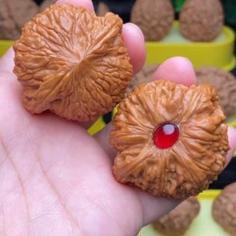 绣球45全品1111111