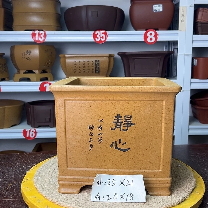 花盆紫砂你在一起