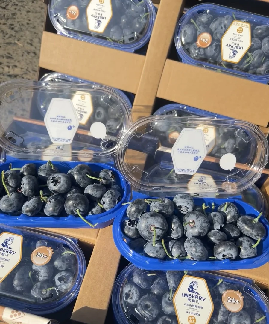 【爱莓庄24+蓝莓】