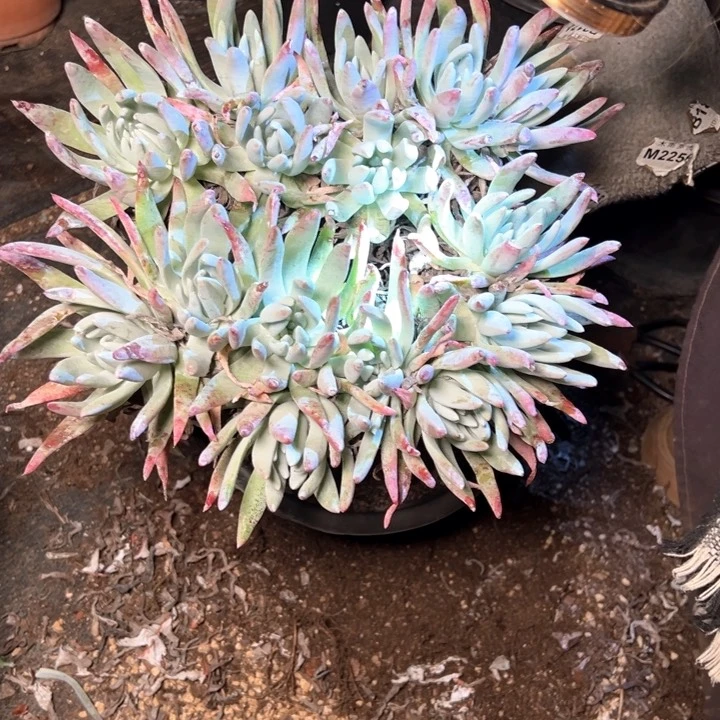 孟**唐1428哈哈哈哈哈哈哈哈