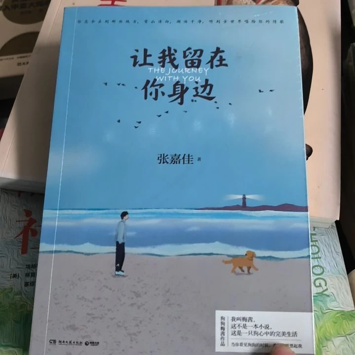 让我留在你身边塑封