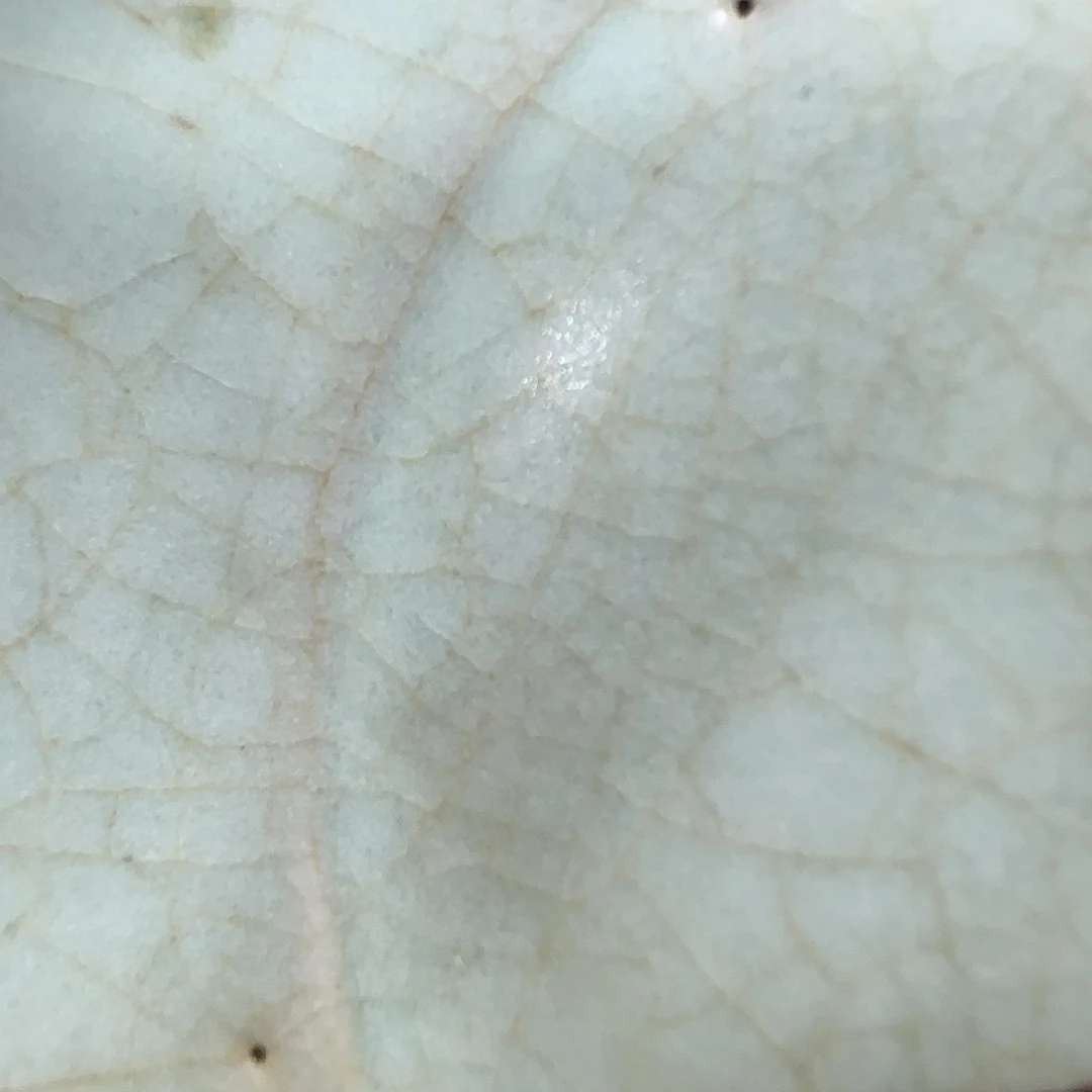 独***化精美瓷器，不包邮，顺丰到付