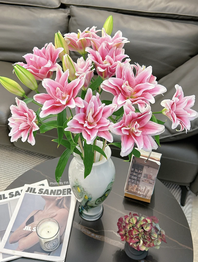 【西亚拉重瓣百合鲜花】云南产地直发 | 新鲜采摘