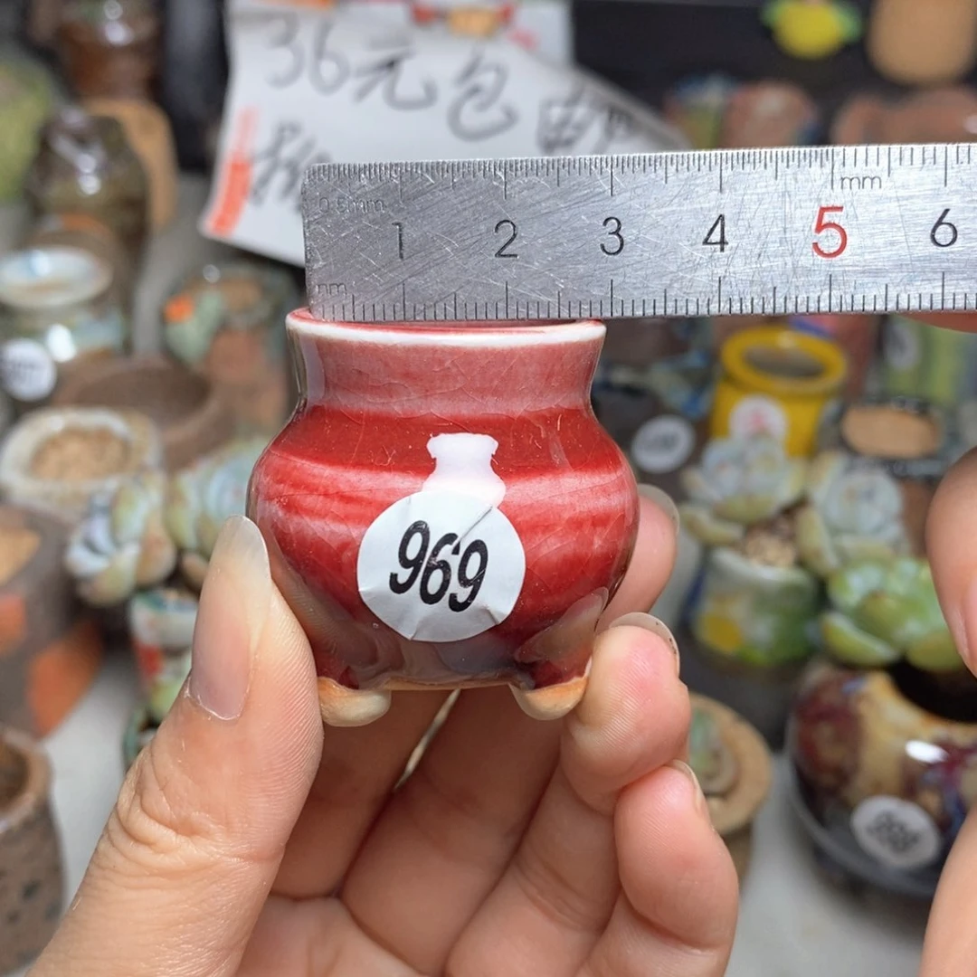拍5送一个小礼物