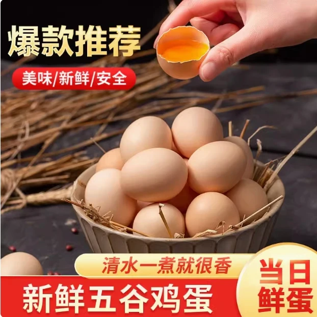 【50枚一箱】新鲜土鸡蛋放养土鸡蛋现捡现发4-5斤