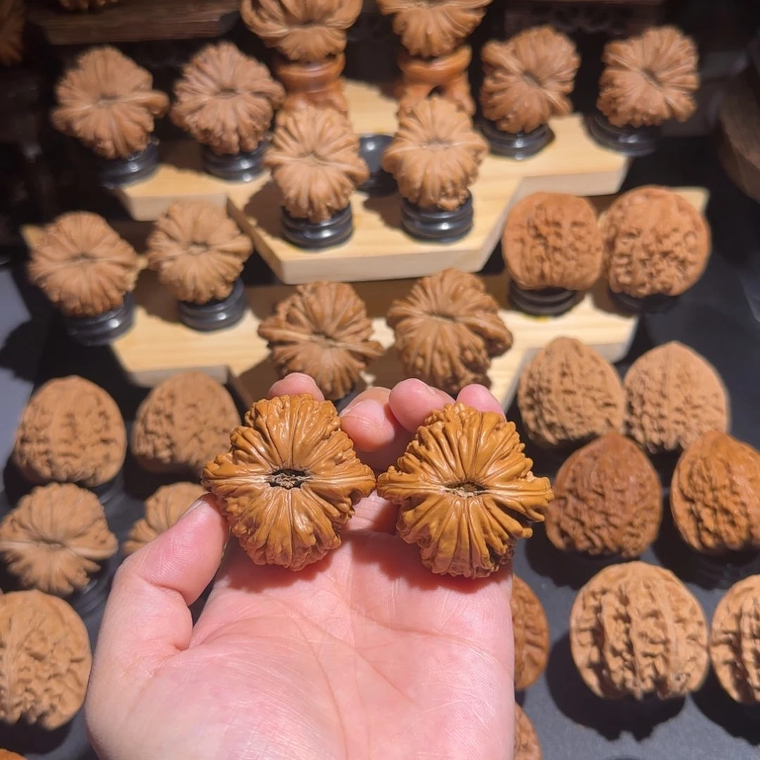 核桃41全品打底四座楼