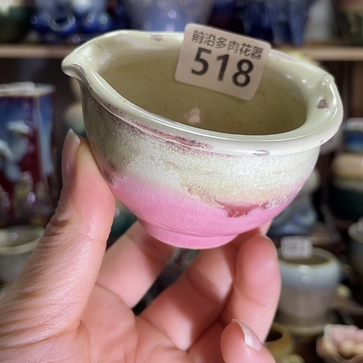 狼盆内口径6高度6