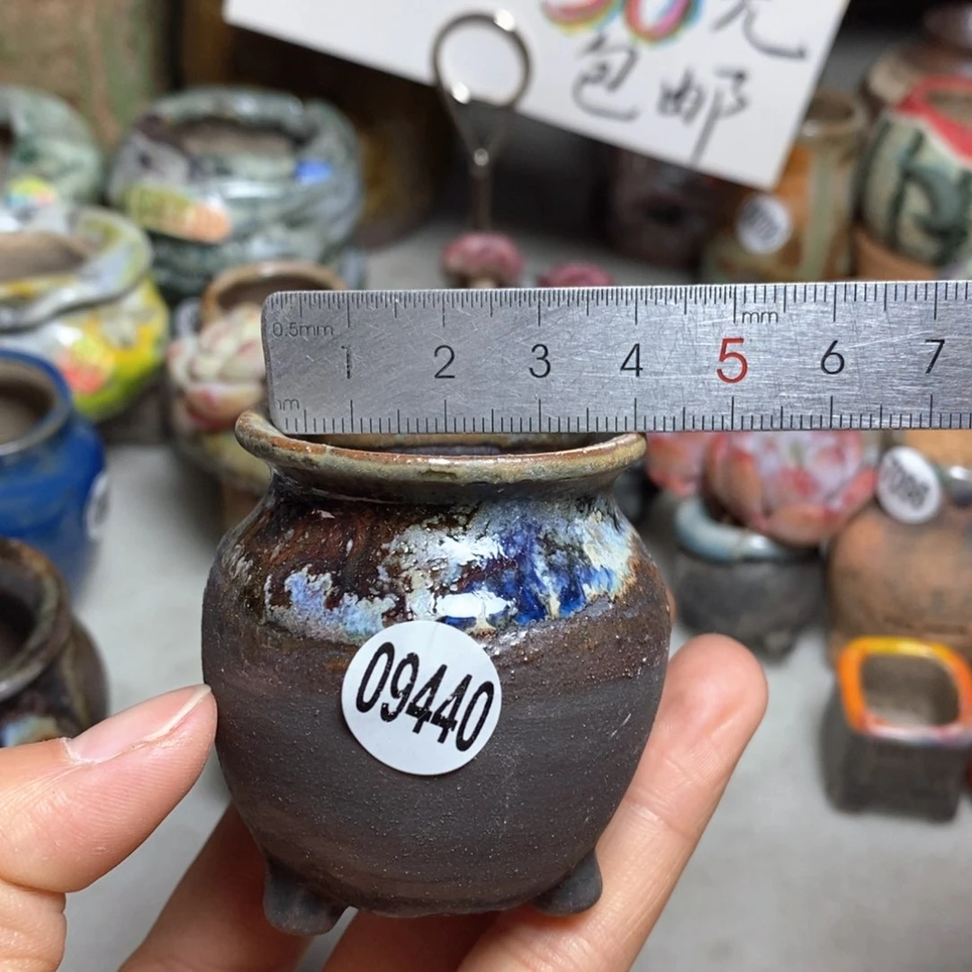 花盆拍5送一个小礼物