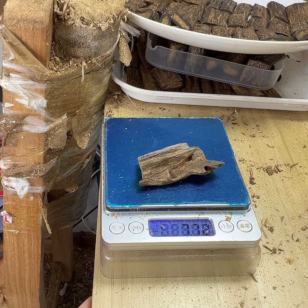 香料绿奇楠虫漏7克白棋