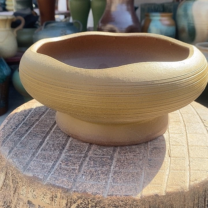 红陶高11/20 新年福利