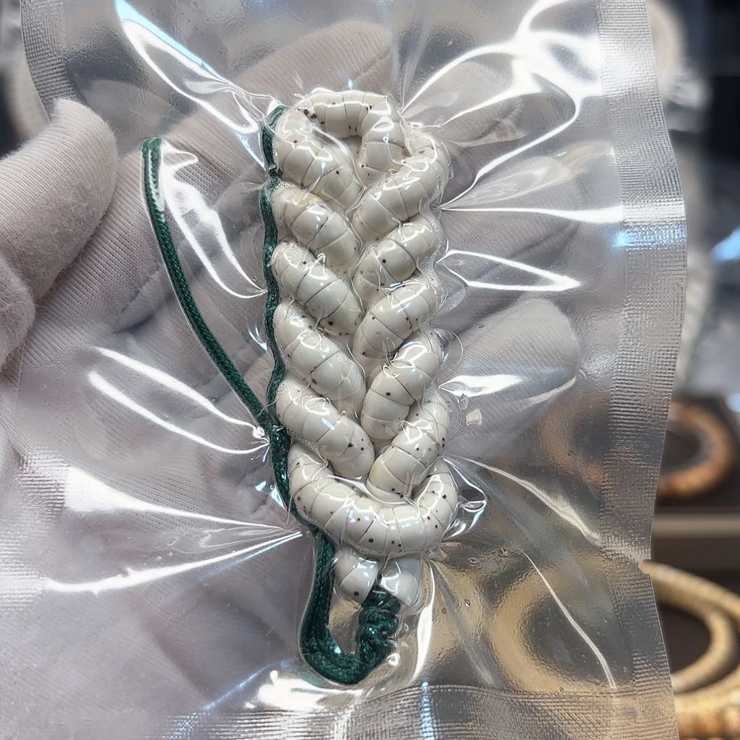 星月菩提吊坠高品质原白大肠卡6数星