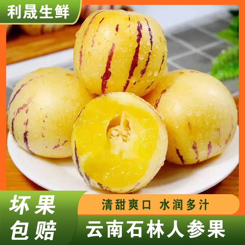 云南石林人参果圆果树上自然成熟清甜多汁净重【50-80g】4.5斤