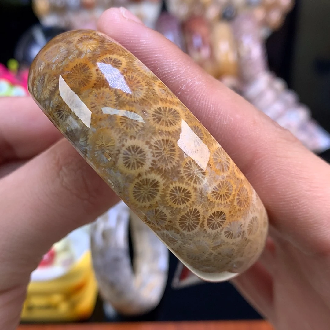 【闪购商品】颈饰未镶嵌硅化珊瑚（珊瑚玉）2号53.9圈柠檬片