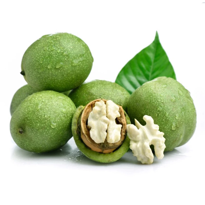 (带青皮)现摘现发大凉山青皮核桃湿核桃生核桃孕妇零食新鲜青果