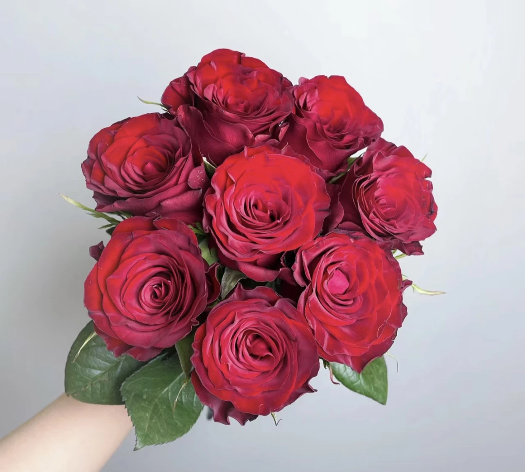 （曼）高原红15支+5支防损  鲜花任意两单包邮