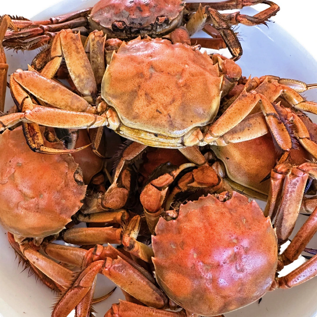 【活蟹】盘锦稻田蟹 1.1-1.3两母蟹22只 顺丰冷链发货