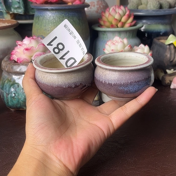 重庆小燕子欢迎大家一起181