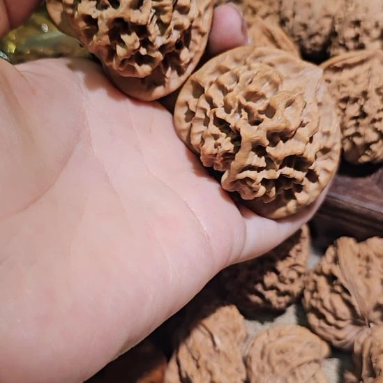 吊坠文玩核桃48帝王